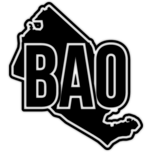  λ