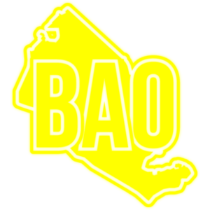  λ