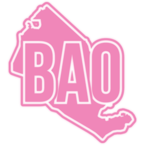  λ
