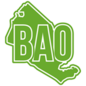  λ