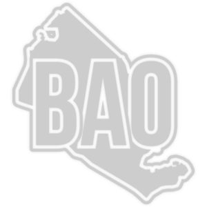  λ