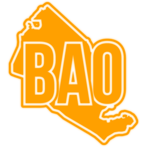  λ