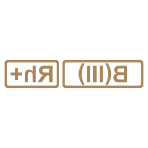    -    B(III) Rh+ ( ) -   5 .