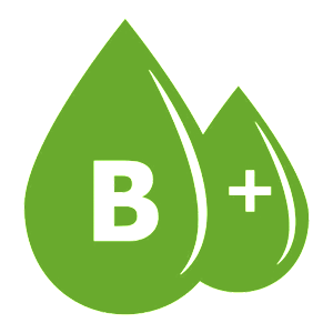    B(III) Rh+ ( )