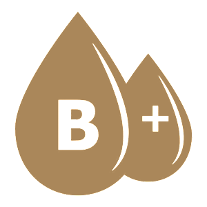    B(III) Rh+ ( )