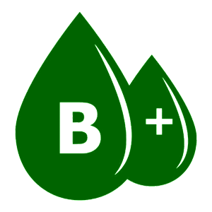    B(III) Rh+ ( )