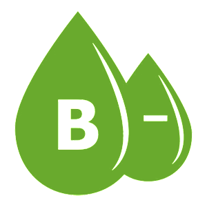    B(III) Rh- ( )