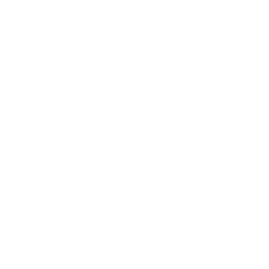          -   300 .