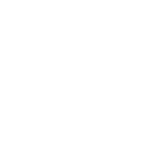        -   161 .