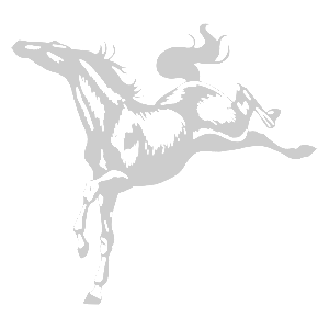     -   161 .