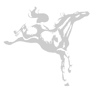        -   161 .