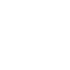   Renault logo -   86 .