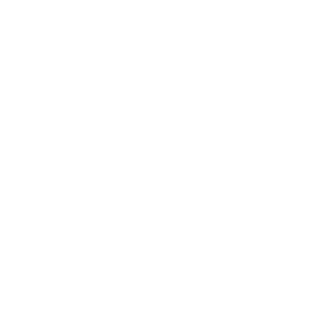      Renault logo -   86 .