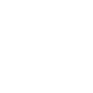       (UAZ) -   308 .