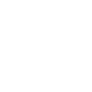     Xiaomi () -   9 .