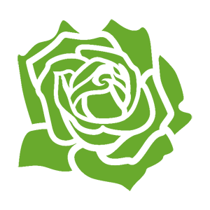 ����������� �� ����������� ������-������� �������� ������� ����� - ������ �� 133 ���.