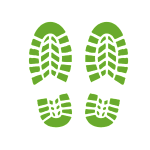    -    -   84 .