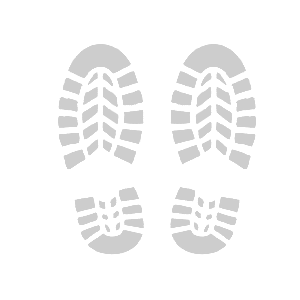   -    -   84 .