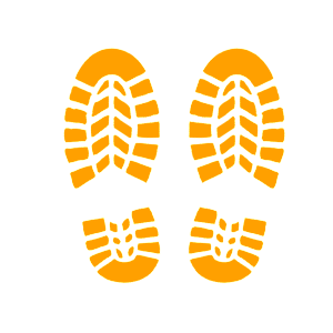        -   84 .