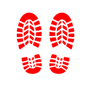        -   84 .