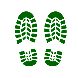       -   84 .