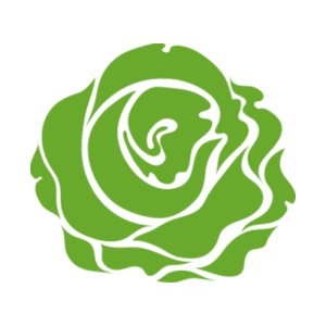 ����������� �� ����������� ������-������� �������� ������� ����� - ������ �� 133 ���.