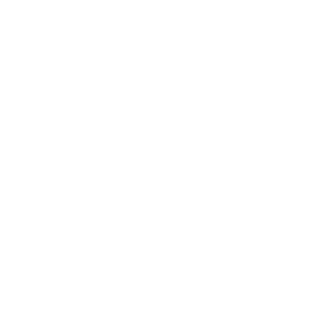      Peugeot logo -   114 .