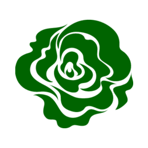 ����������� �� ����������� ������� �������� ������� ����� - ������ �� 133 ���.