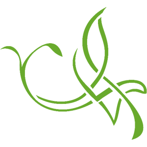 ����������� �� ����������� ������-������� �������� ��������� - ������ �� 75 ���.