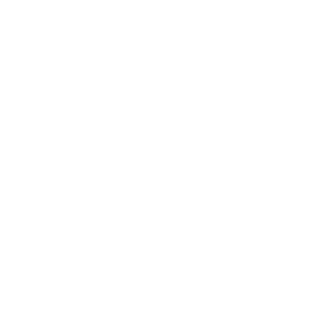          -   133 .