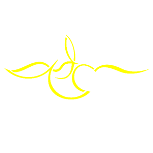       -   82 .