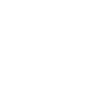      ! -   133 .