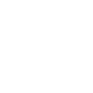         -   261 .
