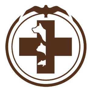 ����������� �� ����������� ���������� �������� ������һ - ������ �� 81 ���.