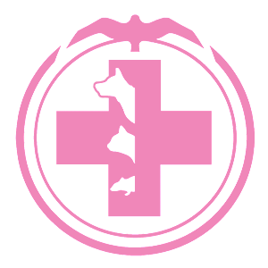 ����������� �� ����������� ������� �������� ������һ - ������ �� 81 ���.