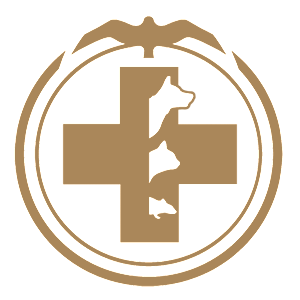  һ