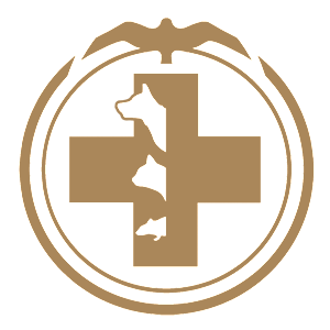 ����������� �� ����������� ������-���������� �������� ������һ - ������ �� 81 ���.