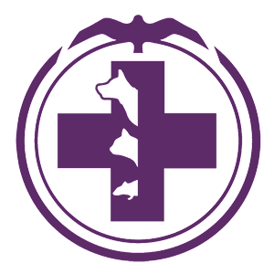 ����������� �� ����������� ���������� �������� ������һ - ������ �� 81 ���.