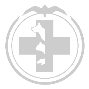 ����������� �� ����������� ���������� �������� ������һ - ������ �� 81 ���.