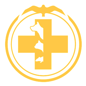 ����������� �� ����������� ������� �������� ������һ - ������ �� 81 ���.