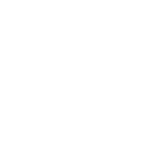      Hello Police -   29 .