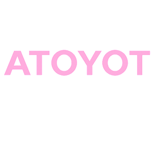      TOYOTA -   23 .