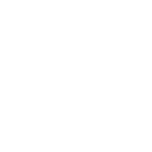      TOYOTA -   23 .
