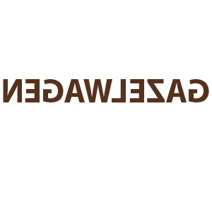      GAZELWAGEN -   31 .