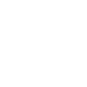      GAZELWAGEN -   31 .