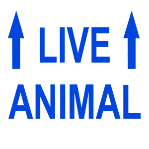   Live Animal -   84 .