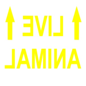     Live Animal -   84 .