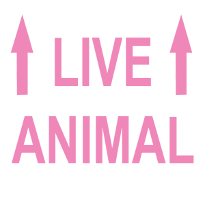 Live Animal