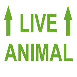  Live Animal