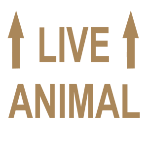  Live Animal